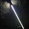 Light Up Dog Walking Leash Great For Night Walks Improves Safety