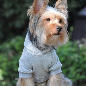 Flex-Fit Hoodie (Color: gray, size: large)